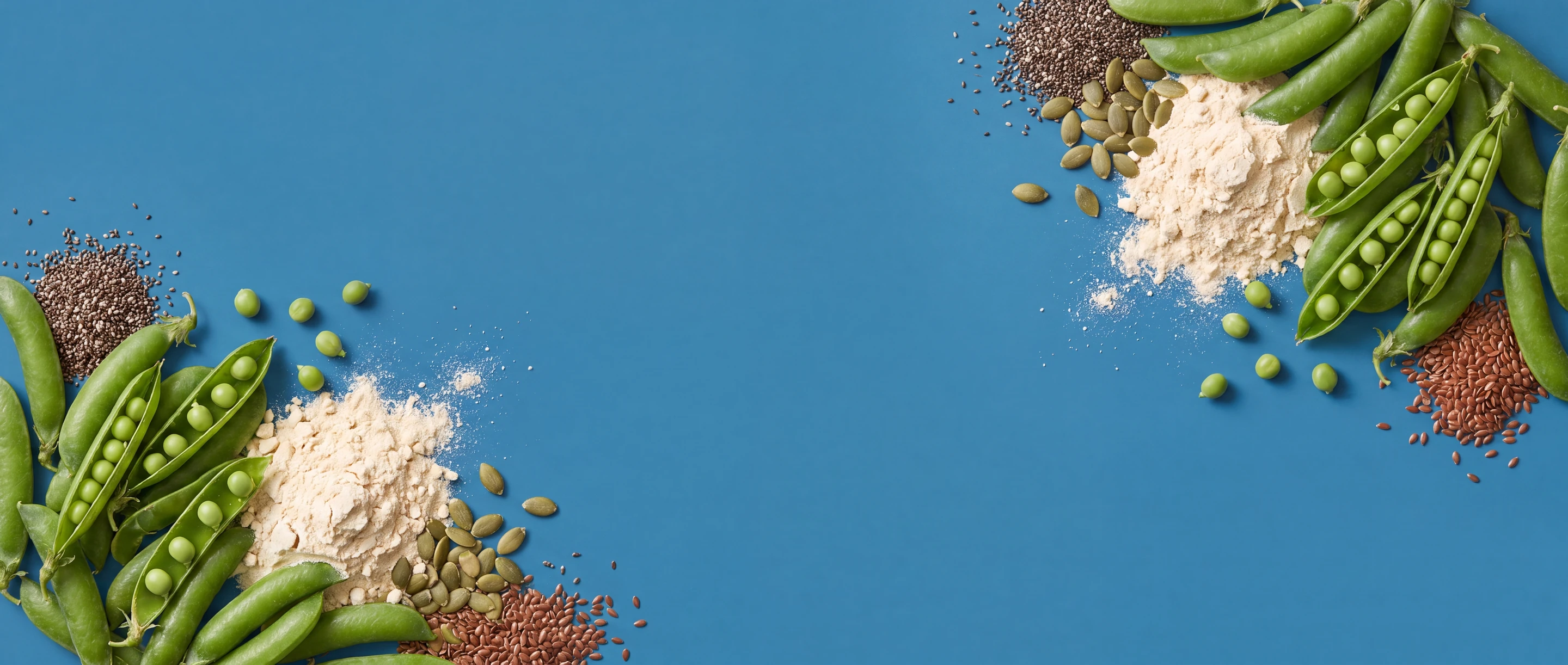Plant Protein